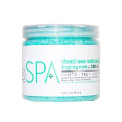 BCL Spa Dead Sea Salt Soak Tingling Mint+ CBD 454 gr