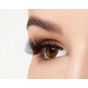 Ardell Mega Volume 250
