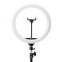 Glow 13" Ringlamp met Statief 10W 